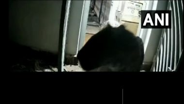 Leopard Entered House: दबक्या पावलांनी बिबट्या शिरला घरात, 6 जणांवर हल्ला (Watch Video)