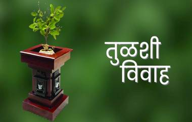 Tulsi Vivah 2023 Date and Muhurat: तुळशी विवाह मुहूर्त, तारीख आणि महत्त्व, घ्या जाणून