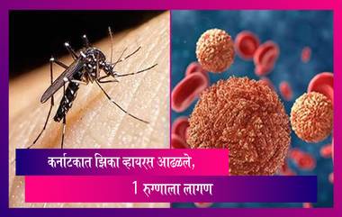 Zika virus: कर्नाटक सरकार सतर्क, राज्यात आढळले झिका व्हायरस, 1 रुग्णाला लागण