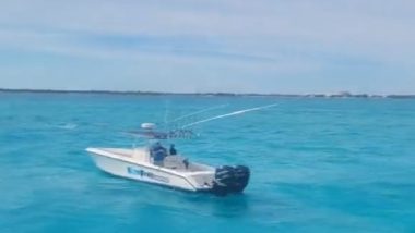 Bahamas Ferry Sinks: बोट बुडाल्याने 75 वर्षीय महिलेला जलसमाधी; बहामासमध्ये थरारक घटना
