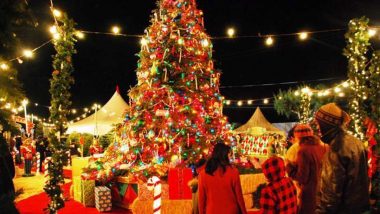 Best Places To Visit For Christmas Celebration: ख्रिसमस आणि नववर्षानिमित्त फिरण्याचा प्लान करत असाल तर भारतातील 'ही' ठिकाणं ठरतील सर्वोत्तम