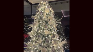 MS Dhoni House Christmas Tree Video: महेंद्रसिंग धोनीची पत्नी साक्षीने घरी ख्रिसमस ट्री सजवला, इन्स्टाग्रामवर व्हिडिओ  केला शेअर