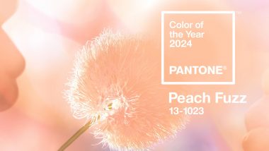 Peach Fuzz is the Color of the Year 2024: पँटोनने जाहीर केला 'कलर ऑफ द इयर 2024'; 'पीच फझ' असेल पुढील वर्षीचा रंग (Video)