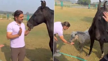 MS Dhoni Playing With Horse: घोड्यासोबत मस्ती करताना दिसुन आला एमएस धोनी, व्हिडिओ सोशल मीडियावर व्हायरल