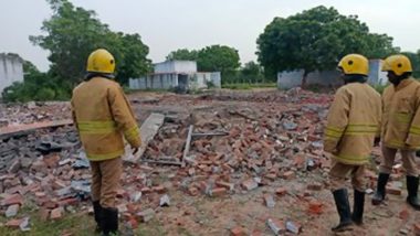 Tamil nadu Fire: तामिळनाडूत फटाक्यांच्या कारखान्याला आग, एकाचा दुर्दैवी मृत्यू