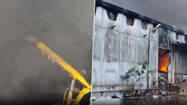 Massive Fire In Chennai: चेन्नईत साबणाच्या गोडाऊनला भीषण आग; 100 कोटी रुपयांच्या मालाचे नुकसान
