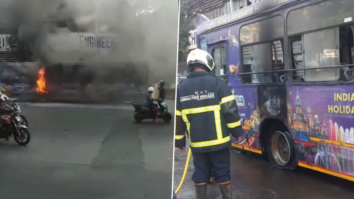 BEST CNG Bus Catches Fire: मार्वे बस स्थानकावर बेस्ट सीएनजी बसला आग; कोणतीही जीवितहानी नाही