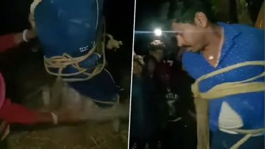 Viral Video: सासू आणि जावई पडले प्रेमात, रंगेहात पकडल्यानंतर झाडाला बांधून तरुणाला मारहाण (Watch Video)