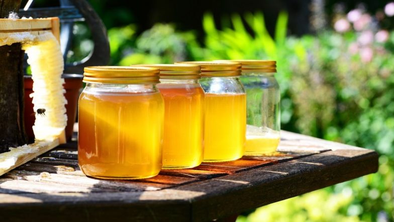 Country's First Honey Festival: मुंबईमध्ये 18 व 19 जानेवारीला होणार देशातील पहिला ‘मध महोत्सव'; जाणून घ्या वैशिष्ट्ये आणि काय असेल खास