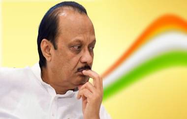 Lok Sabha Elections 2024: 'शिंदे गटाला जितक्या जागा, तितक्याच आम्हाला पण हव्या'; Ajit Pawar गटाची मागणी