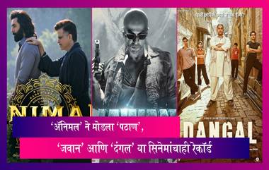 Animal Box Office Collection: 'अ‍ॅनिमल' ने मोडला 'पठाण','जवान' आणि 'दंगल' या सिनेमांचाही रेकॉर्ड