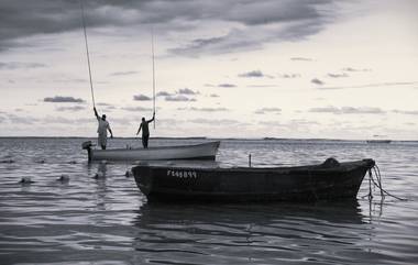 Mumbai Fish: मुंबईत समुद्रावरील धुक्याची पातळी वाढली; कोमट पाण्याच्या शोधात मासे किनाऱ्यापासून 200 किमी दूर पाळले, दरात मोठ्या प्रमाणावर वाढ