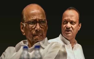 Ajit Pawar यांना सर्वोच्च न्यायालयाचा दणका; Sharad Pawar यांचा फोटो, नाव न वापरण्याचं हमीपत्र सादर करण्याचे आदेश