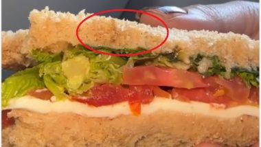 Worms Found In Sandwich On IndiGo Flight: इंडिगो कंपनीच्या विमानत सँडविचमध्ये अळी, महिला प्रवाशाची तक्रार (Watch Video)