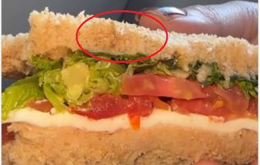 Worms Found In Sandwich On IndiGo Flight: इंडिगो कंपनीच्या विमानत सँडविचमध्ये अळी, महिला प्रवाशाची तक्रार (Watch Video)