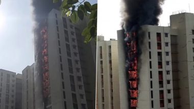 Dombivali Palava Fire: डोंबिवलीच्या पलावा सिटीतील इमारतीला भीषण आग, रहिवाशांना सुखरूप बाहेर काढण्यात यश