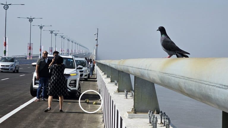 Littering Issue at Atal Setu: अटल सेतूवर कचरा टाकणे, गाड्या थांबवणे सुरु, पहा व्हायरल फोटो