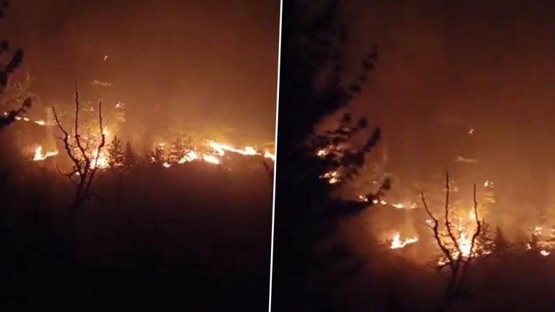 Himachal Pradesh: मनालीच्या वनक्षेत्रात भीषण आग, दुर्घटनेत कोट्यावधी रुपयांची वनसंपत्ती नष्ट