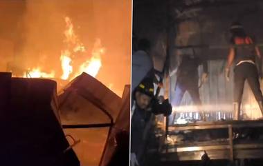 Pune Fire News: पिंपरी चिंचवड येथील दोन गोदामाला भीषण आग, घटनेत दोन तरुणांचा मृत्यू