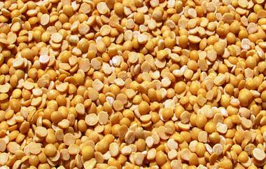 Tur Dal Prices: तूरडाळीच्या दरांत घसरण झाल्याने सर्वसामान्यांना मोठा दिलासा, जाणून घ्या नवे दर