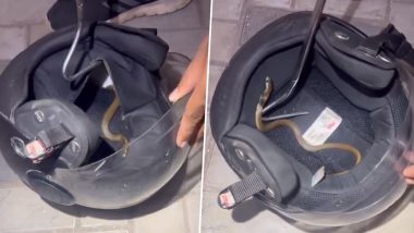 Snake Found Inside Bike's Helmet: बाप रे बाप! हेल्मेटमध्ये सापडला साप; पहा व्हायरल व्हिडिओ