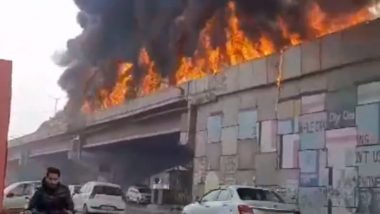 Ludhiana Fire: लुधियानात महामार्गावर उलटलेल्या तेलाच्या टँकरला भीषण आग, टायर फुटल्याने झाला अपघात