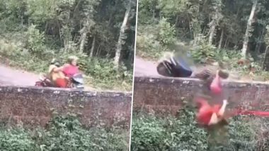 Woman Crashes Scooty Into A Wall: स्कूटीवर भरधाव वेगात जाताना अचानक समोर आली भींत; पुढे काय घडलं तुम्हीचं पहा अपघाताचा थरार, Watch Video