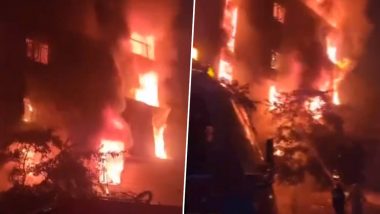 Delhi Fire: दिल्लीत बवानामध्ये एका कारखान्यात भीषण आग, अग्निशमन दलाच्या 25 गाड्या घटनास्थळी हजर