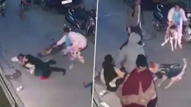 Delhi Dog Attack Video: दिल्लीत विश्वास नगरमध्ये पाळीव कुत्र्याचा चिमुकल्यावर हल्ला, भयावह व्हिडिओ समोर