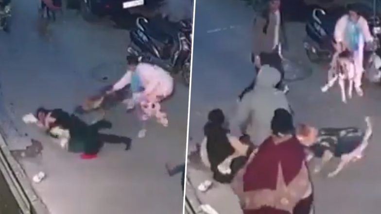 Delhi Dog Attack Video: दिल्लीत विश्वास नगरमध्ये पाळीव कुत्र्याचा चिमुकल्यावर हल्ला, भयावह व्हिडिओ समोर