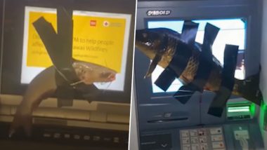 Taping Fish To ATMs: अमेरिकेत किशोरवयीन मुलाने Utah शहरातील विविध एटीएमवर चिटकवले मासे, Watch Video
