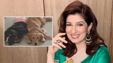 Dog Attack On Akshay Kumar's Daughter: अक्षय कुमार याच्या मुलाला कुत्र्याचा चावा, दोन्ही हातांना जखमा, पत्नी ट्विंकल खन्ना यांनी दिली माहिती