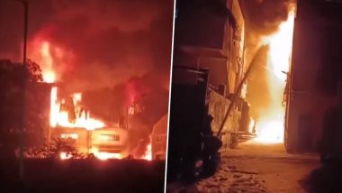 Gujarat Fire: वलसाडमधील तेल कंपनीत भीषण आग, अग्निशमन दल घटनास्थळी दाखल (व्हिडिओ पहा)