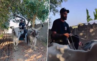 Ravindra Jadeja Viral Video: दक्षिण आफ्रिका दौऱ्यावरून परतल्यानंतर रवींद्र जडेजाने घेतला बैलगाडी चालवण्याचा आनंद, पाहा व्हिडिओ