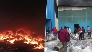 Harayana Shoe Factory Fire Video: हरियाणाच्या बहादूरगडमधील दोन बुटांच्या कारखान्यांना भीषण आग, अग्निशमन दलाच्या गाड्या घटनास्थळी दाखल