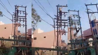 Uttar Pradesh Horror: ट्रान्सफॉर्मरच्या खांबावर चढून मद्यधुंद व्यक्तीचा हाय व्होल्टेज ड्रामा; पडला आगीच्या भक्ष्यस्थानी (Watch Video)