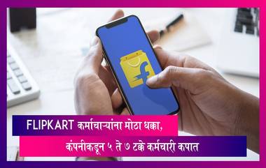 Flipkart कंपनीकडून 5 ते 7 टक्के कर्मचारी कपात, कर्माचाऱ्यांना मोठा धक्का