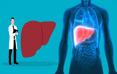 Affordable Liver Transplant: मुंबई येथील सेंट जॉर्ज रुग्णालयात बाल यकृत प्रत्यारोपण योजनेस सरकारकडून 4 कोटी रुपयांचा निधी मंजूर