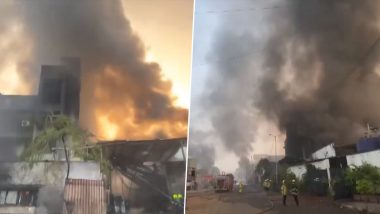 Navi Mumbai Fire: नवी मुंबई मध्ये पावणे एमआयडीसी मध्ये भडकली आग (Watch Video)
