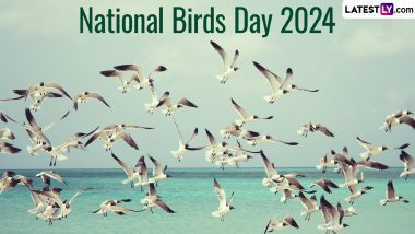 National Birds Day 2024: राष्ट्रीय पक्षी दिवस का साजरा केला जातो? महत्त्व आणि इतिहास घ्या जाणून