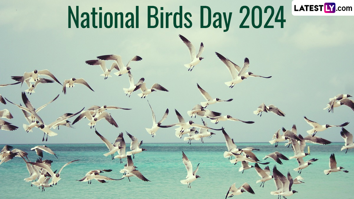 National Birds Day 2024 राष्ट्रीय पक्षी दिवस का साजरा केला जातो
