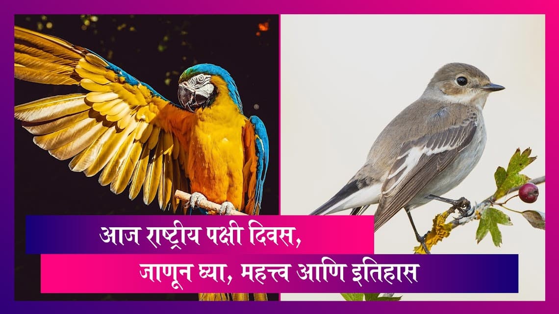 National Birds Day 2024:  5 जानेवारी रोजी साजरा केला जातो  राष्ट्रीय पक्षी दिवस, जाणून घ्या, महत्त्व आणि इतिहास