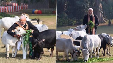 PM Modi Feeds Cows: मकर संक्रांतीच्या निम्मीत्ताने पंतप्रधान नरेंद्र मोदींनी गायींना चारा खाऊ घातला, पाहा फोटो