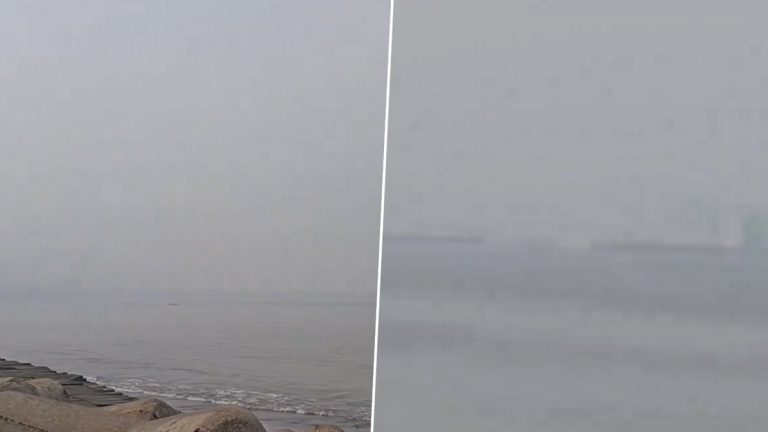 Fog In Mumbai: धुक्यात हरवला छत्रपती शिवाजी पार्क परिसरातून Worli Bandra Sea Link चा नजारा