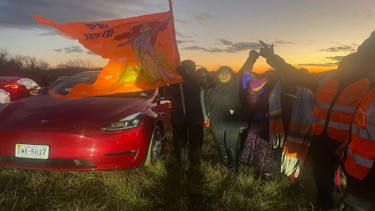 अमेरिकेमध्ये Tesla Musical Light show मध्ये घुमला 'जय श्री राम' चा नारा! (Watch Video)