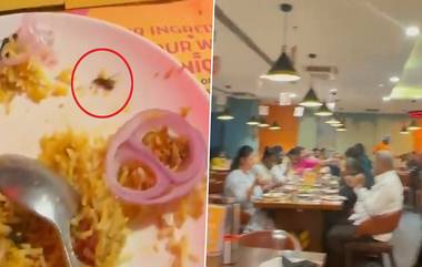 Dead Cockroach In Biryani: हैदराबाद च्या प्रसिद्ध Jubilee Hills मध्ये बिर्याणीत आढळलं मृत झुरळ!