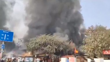 Chandigarh Fire Video: चंदिगड येथील फर्निचर मार्केटमध्ये भीषण आग, कोणतीही जीवितहानी नाही