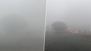 Mumbai, Thane भागात दाट धुक्यात आज झाली अनेकांच्या दिवसाची सुरूवात (See Pics)