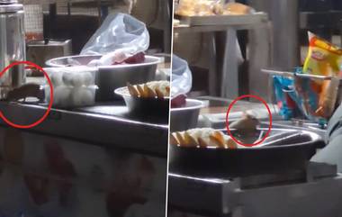 Rats Feast On IRCTC Food Stall: रेल्वे प्लॅटफॉर्मच्या फूड स्टॉलवरील अन्नावर उंदीर धावताना दिसले, व्हिडिओ व्हायरल (Watch Video)