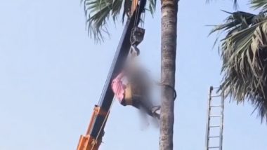 Heart Attack on Palm Tree Video: व्यक्तीला ताडाच्या झाडावर आला हृदयविकाराचा झटका, जागीच मृत्यू; Bhuvanagiri येथील दुःखद घटना (Watch Video)